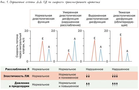 Диагностика изменения миокарда левого желудочка