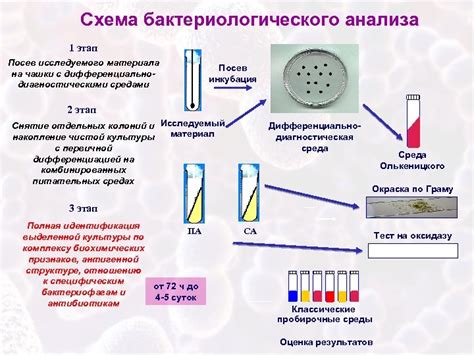 Диагностика и методы определения