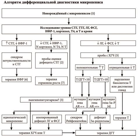 Диагностика химеры