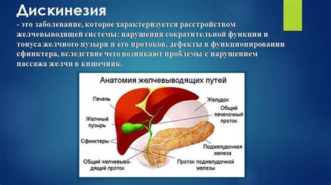 Диета при гипомоторной дискинезии желчного пузыря