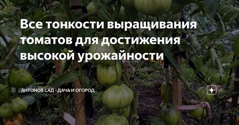 Для обеспечения высокой урожайности