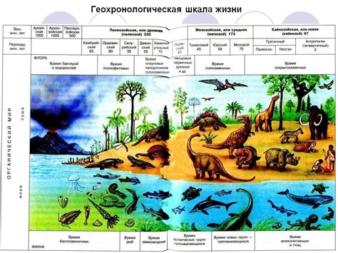 Доказательства возраста земель