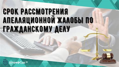 Документы и требования при подаче апелляции