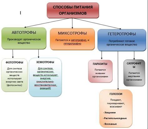 Домашние способы поощрения питания