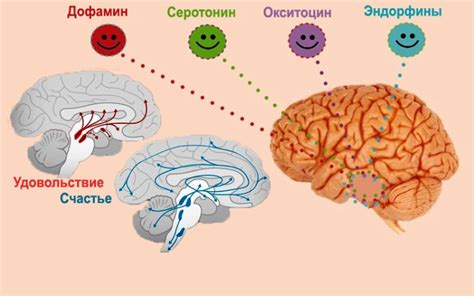 Допамин и эндорфины