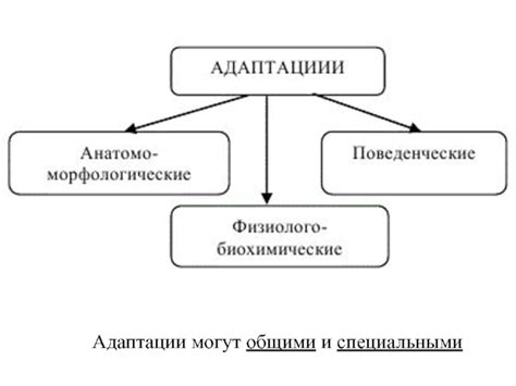 Другие различия между общими и специальными органоидами