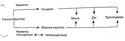 Другие факторы, влияющие на накопление жира в ягодицах