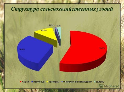 Единолетние угодья: особенности и виды