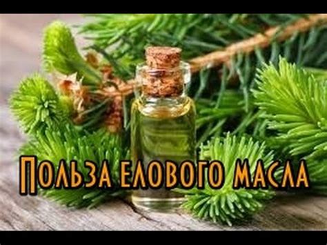 Еловое масло: эффективность и применение