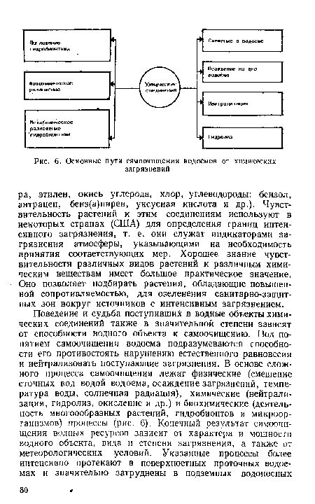 Естественное самоочищение водоемов