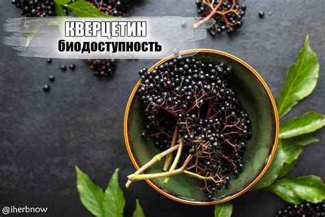 Естественные источники кверцетина и дигидрокверцетина