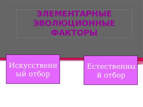 Естественный и искусственный отбор как факторы дивергенции