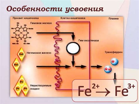 Железо в составе микроудобрений