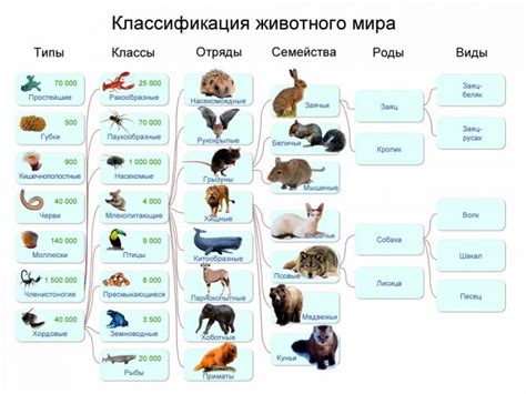 Животные: нельзя везти определенные виды животных без разрешения