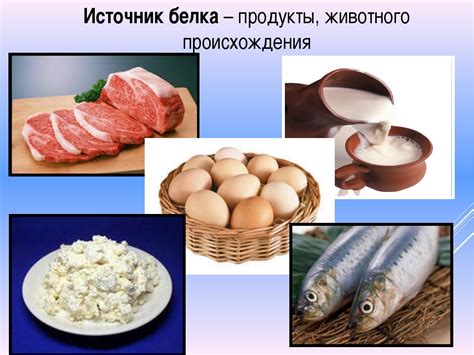 Животные и продукты животного происхождения