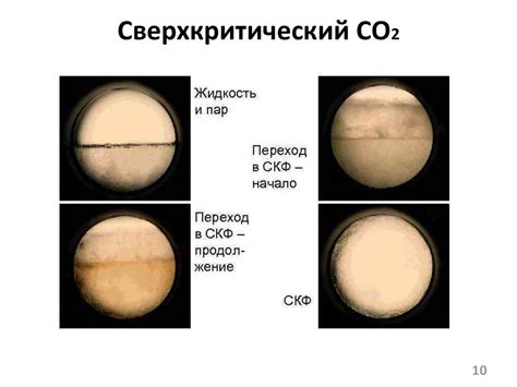 Жидкие альтернативы