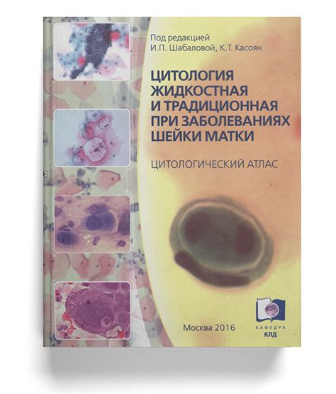 Жидкостная цитология: основные понятия и методика исследования