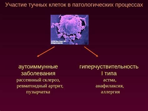 Заболевания, связанные с дисфункцией тучных клеток