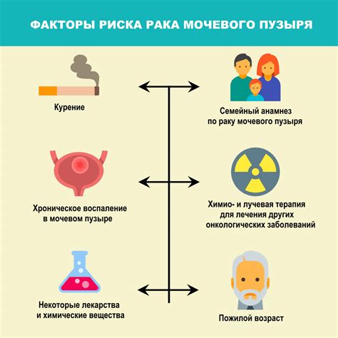 Заболевания мочевого пузыря - распространенные причины дискомфорта