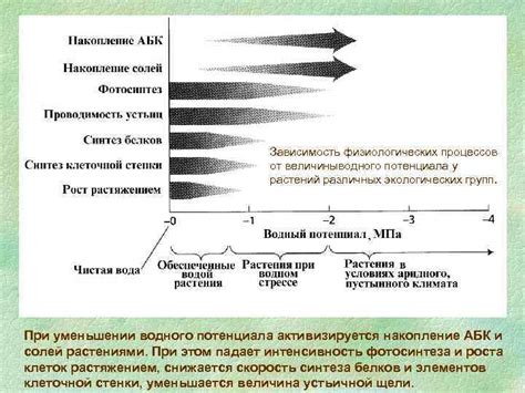 Зависимость видения снов от физиологических процессов