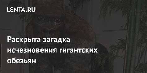 Загадка исчезновения