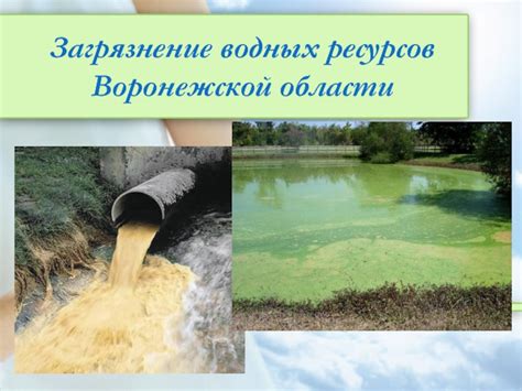 Загрязнение поверхностных водных ресурсов