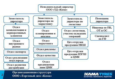 Задачи исполнительного директора в компании