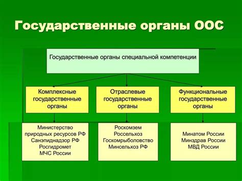 Задачи и компетенции Единой системы исполнительной власти