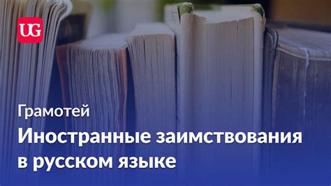 Заимствования в русском языке: значение и применение