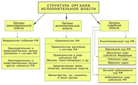 Законодательная и исполнительная власть