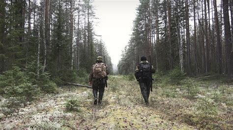 Закон и охота на дикую дичь в Таркове