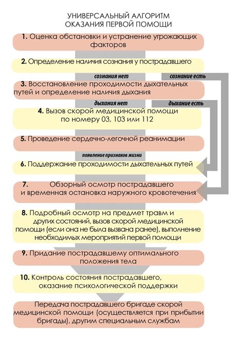 Запишите детали происшествия