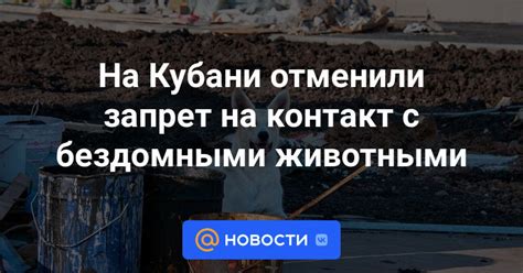 Запрет на контакт с соратниками