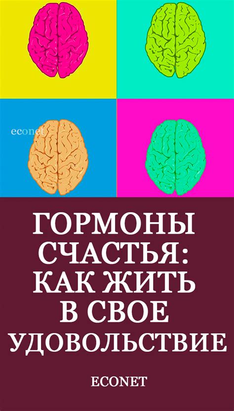 Запросите помощь у проводника