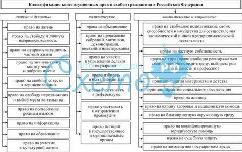 Зарубежные конституционные права и свободы