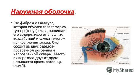 Зашитие глаза от внешних воздействий