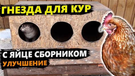 Защита икринок и яиц от хищников