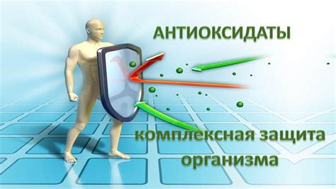 Защита организма от свободных радикалов благодаря антиоксидантам