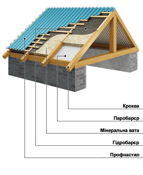 Защита отростков от погодных условий для успешного корневания