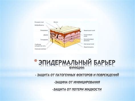 Защита от утраты и повреждений