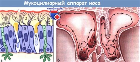 Защитная функция креста