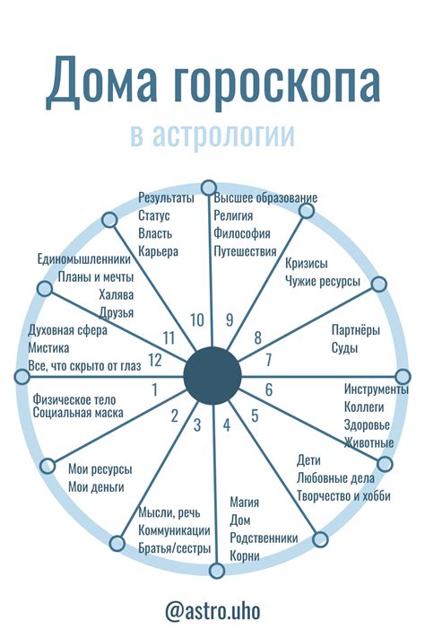 За что они отвечают?