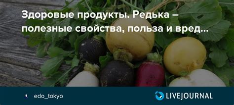 Здоровые польза и полезные свойства сумаляка