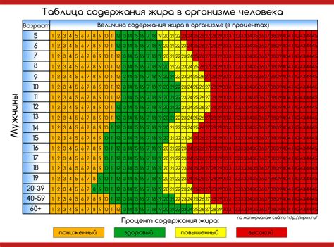 Здоровые уровни процента жира