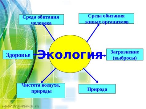 Здоровье и чистота воздуха