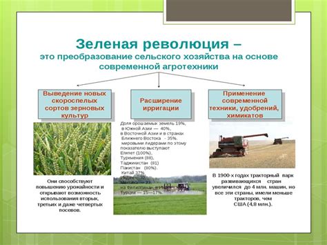 Зеленая революция в географии: сущность и влияние