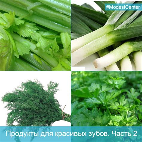 Зелень для кулинарии: не только укроп