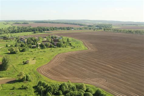 Земельные угодья в лесном хозяйстве