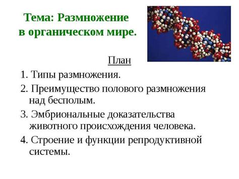 Значение аполипопротеина для репродуктивной функции