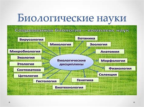 Значение архантропов в биологии